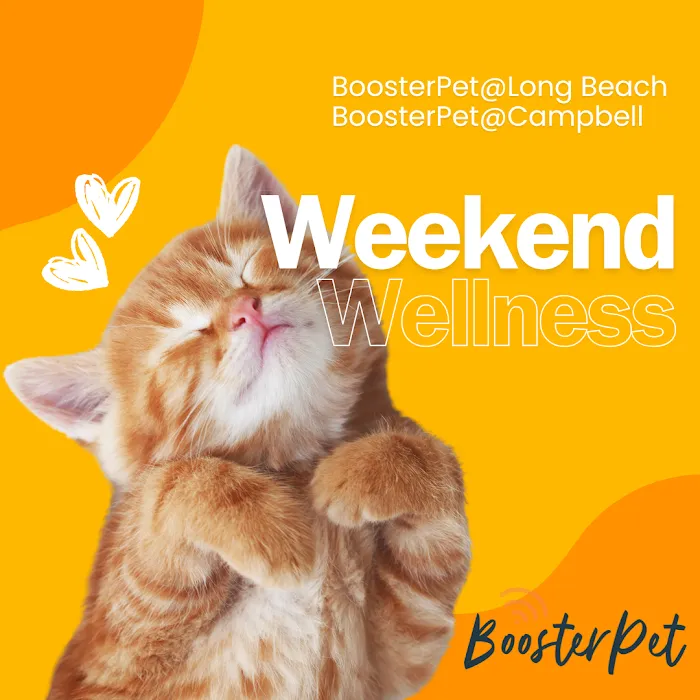 BoosterPet Weekend Wellness Veterinary Clinic in Long Beach Picture 6