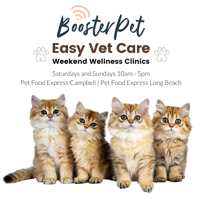BoosterPet Weekend Wellness Veterinary Clinic in Long Beach Picture 5