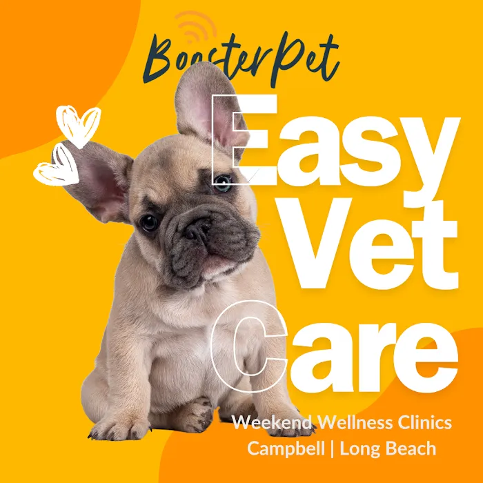 BoosterPet Weekend Wellness Veterinary Clinic in Long Beach Picture 7