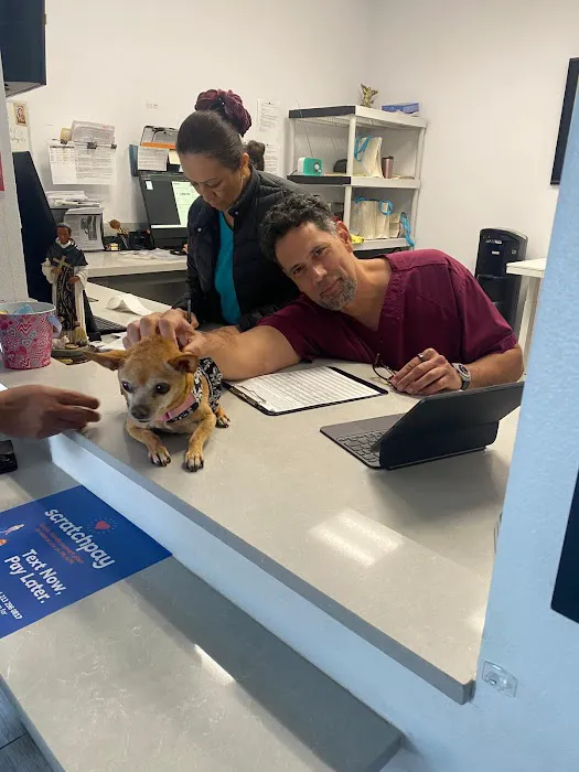 Pet Lovers Animal Hospital Long Beach Picture 6