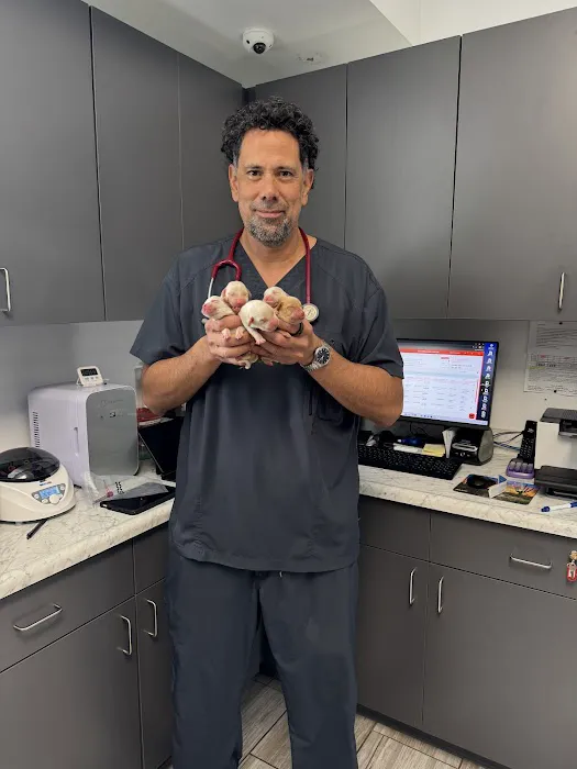 Pet Lovers Animal Hospital Long Beach Picture 3