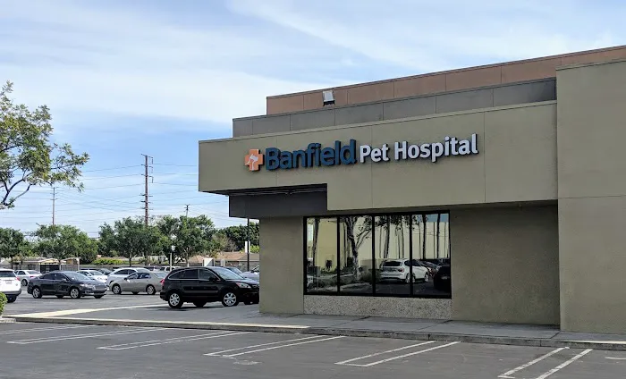 Banfield Pet Hospital Picture 1