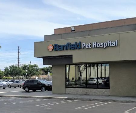 Banfield Pet Hospital