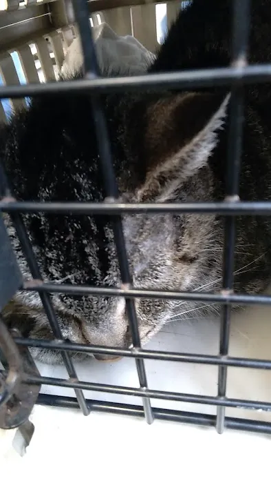 Banfield Pet Hospital Picture 10