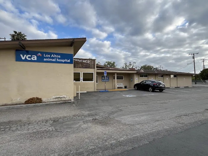 VCA Los Altos Animal Hospital Picture 1