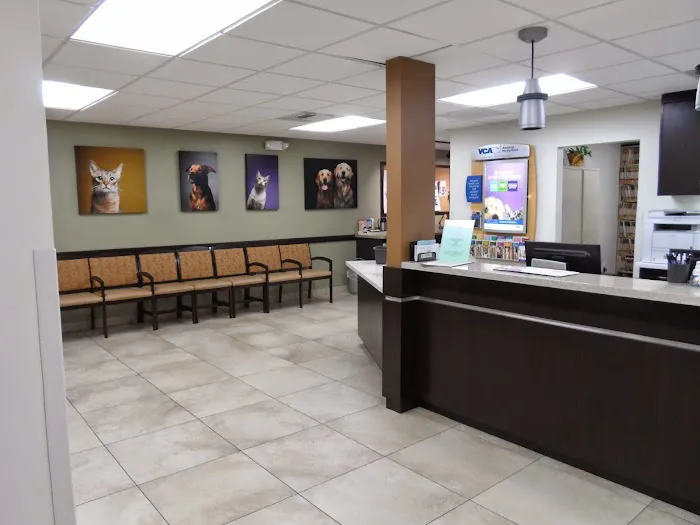 VCA Los Altos Animal Hospital Picture 4