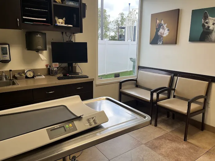 VCA Los Altos Animal Hospital Picture 3