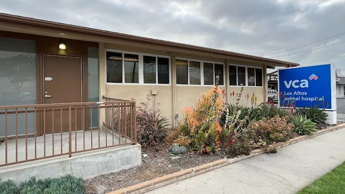 VCA Los Altos Animal Hospital Picture 2