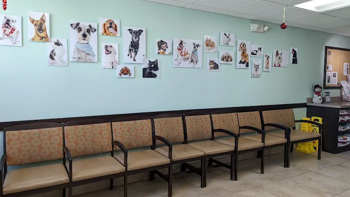 VCA Los Altos Animal Hospital Picture 7