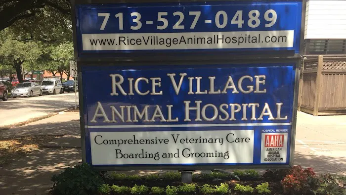 Rice Village Animal Hospital Picture 5