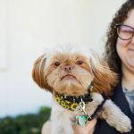 2525 Sunset Veterinarians