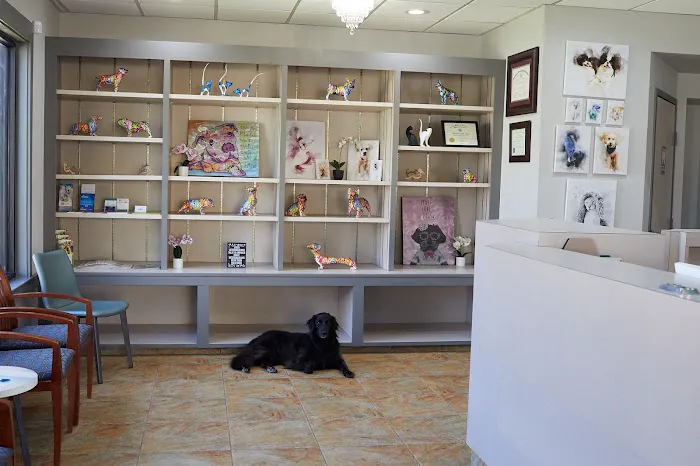 2525 Sunset Veterinarians Picture 9