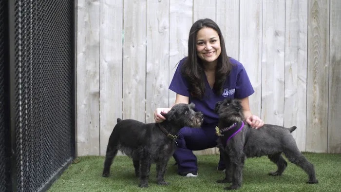 Animal Medical Center of the Village Picture 9