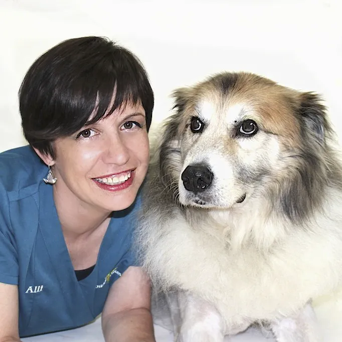 Animal Medical Center of the Village Picture 8