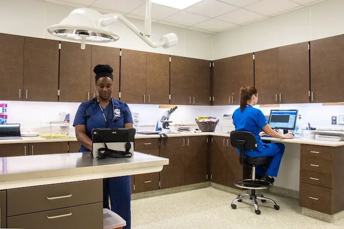 Houston SPCA Veterinary Clinic Picture 6