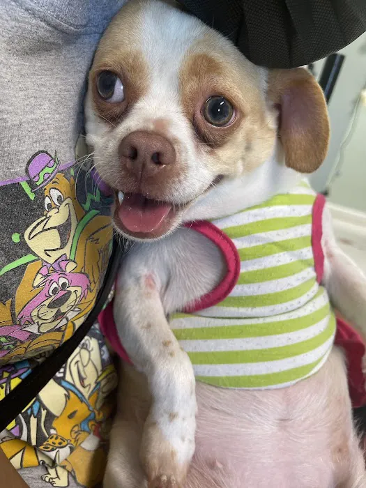 Safe Haven Animal Hospital Picture 5
