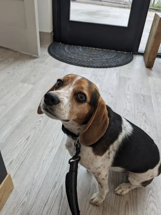 Dexter and Evie Veterinary Clinic + Urgent Care Picture 7