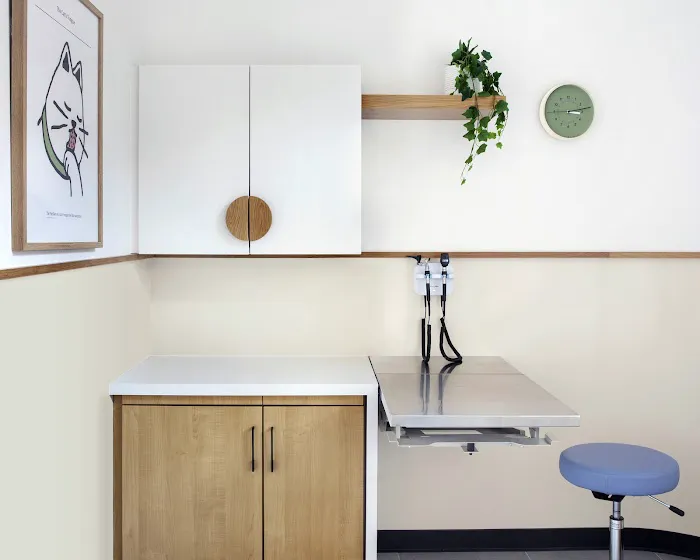 Modern Animal Veterinary Care Picture 2