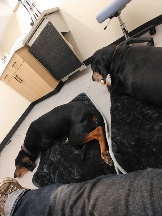Modern Animal Veterinary Care Picture 1