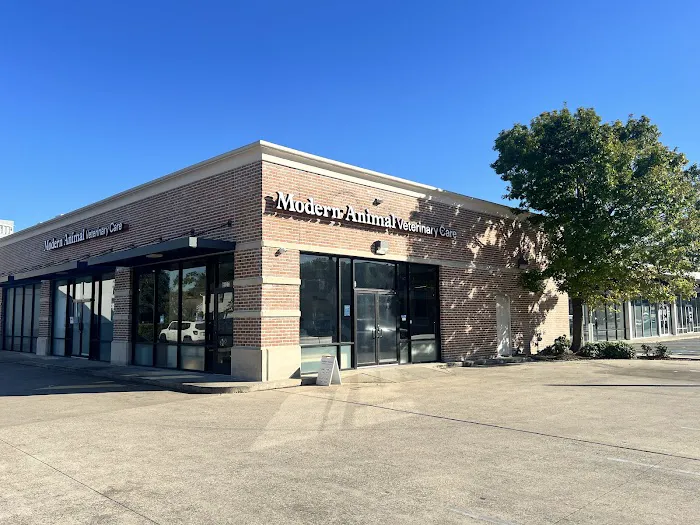 Modern Animal Veterinary Care Picture 5
