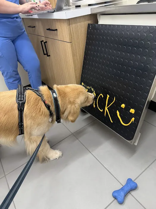 Modern Animal Veterinary Care Picture 8