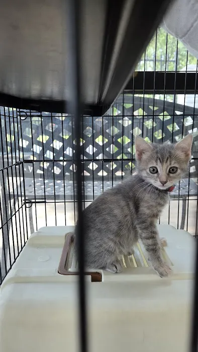 Greenway Animal Clinic Picture 1