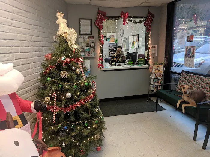 Greenway Animal Clinic Picture 7