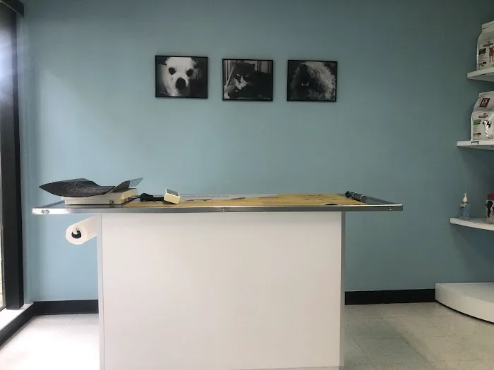 Greenway Animal Clinic Picture 5