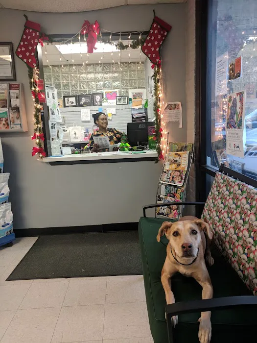 Greenway Animal Clinic Picture 8