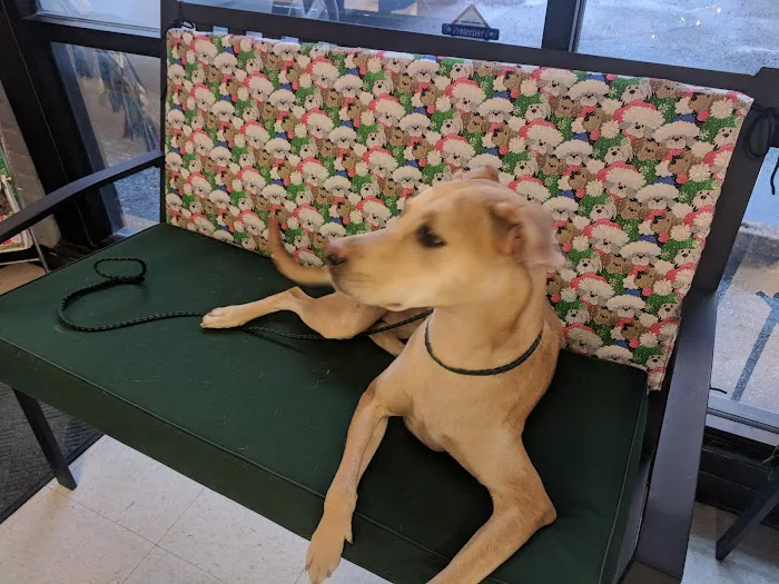 Greenway Animal Clinic Picture 9