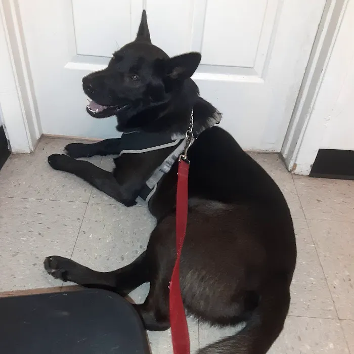 Noah's Ark Animal Hospital Picture 7