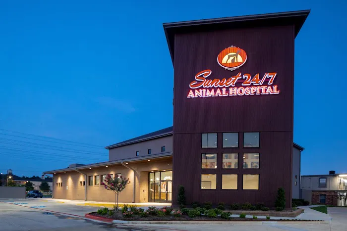 Sunset Animal Hospital Picture 9