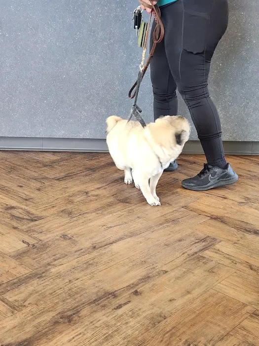Bissonnet Veterinary Hospital Picture 7