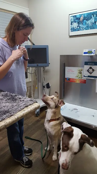 Bissonnet Veterinary Hospital Picture 9