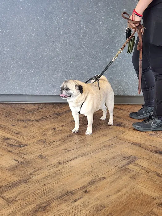 Bissonnet Veterinary Hospital Picture 10