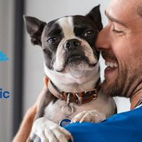 Riverflow Pet Clinic ico