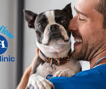 Riverflow Pet Clinic