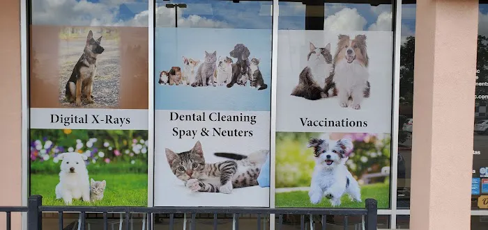Riverflow Pet Clinic Picture 7