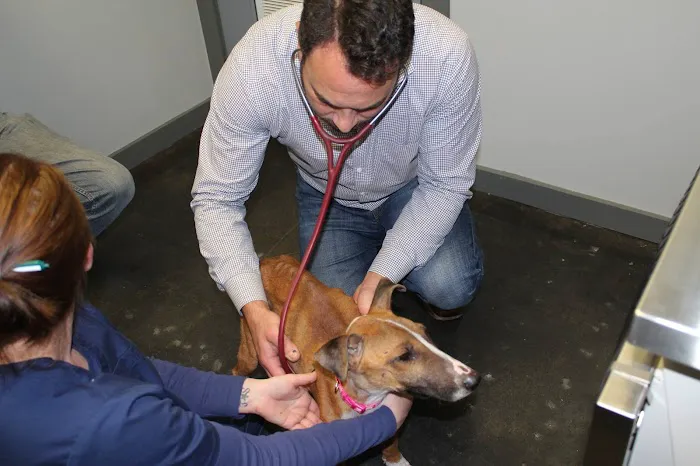 Garden Oaks Veterinary Center Picture 2