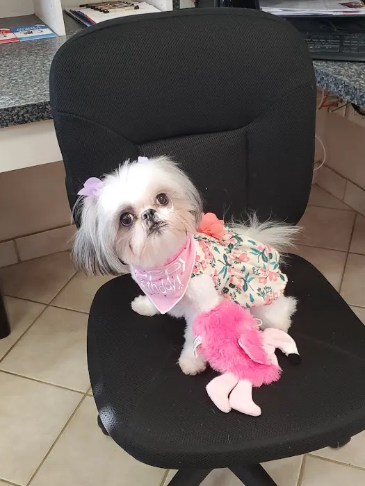 Jester Plaza Veterinary Clinic Picture 8