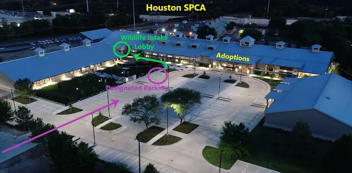 Houston SPCA's Wildlife Center Picture 1