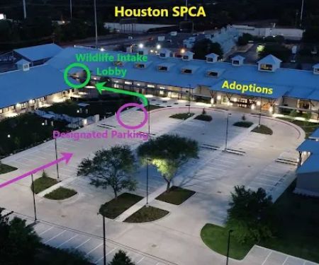 Houston SPCA's Wildlife Center
