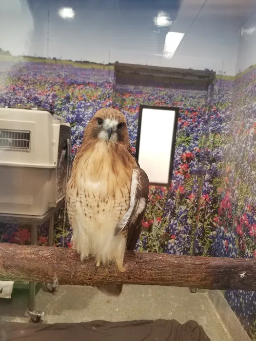 Houston SPCA's Wildlife Center Picture 2