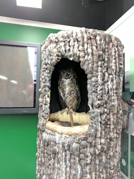 Houston SPCA's Wildlife Center Picture 3