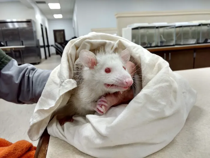 Houston SPCA's Wildlife Center Picture 4