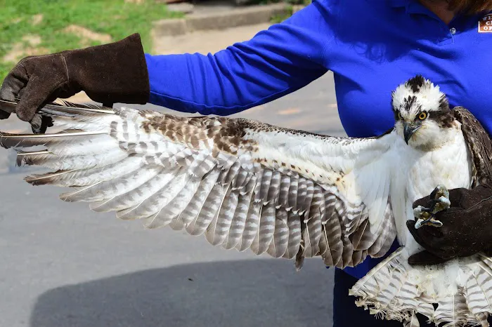 Houston SPCA's Wildlife Center Picture 7