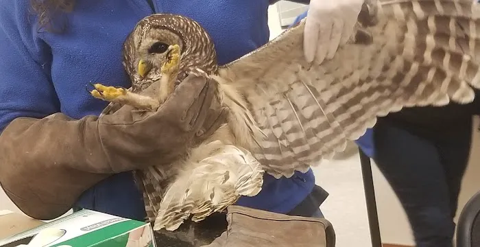 Houston SPCA's Wildlife Center Picture 10