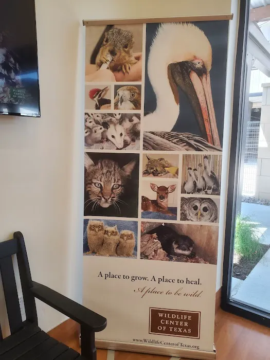 Houston SPCA's Wildlife Center Picture 9