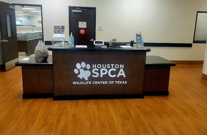 Houston SPCA's Wildlife Center Picture 8