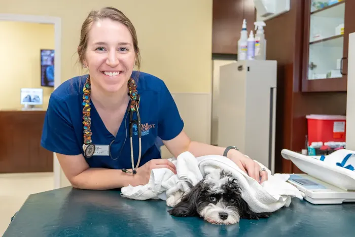 Oak Forest Veterinary Hospital Picture 3